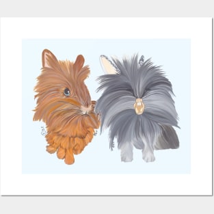LIONHEAD RABBIT COUPLE Posters and Art